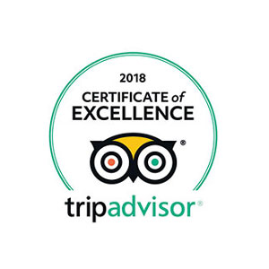 Trip Advisor Service Excellence Award